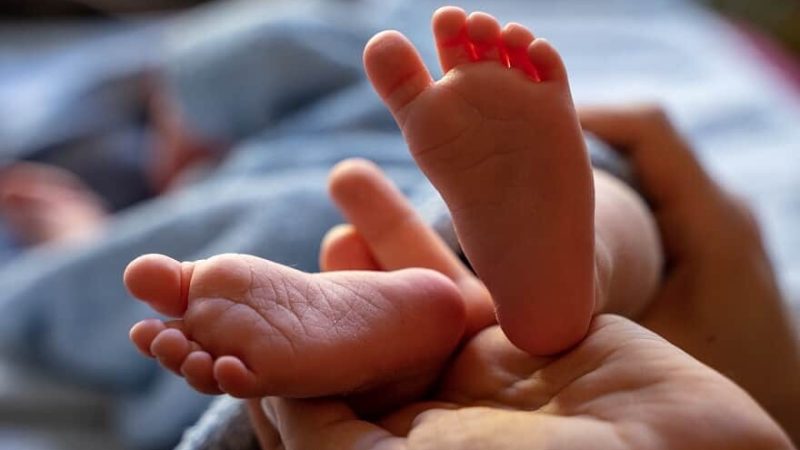 Município defere pedido do SSPM e concede licença-maternidade a partir da alta hospitalar da mãe/recém-nascido em concordância com decisão do STF